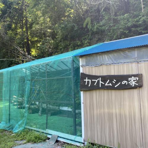 「カブトムシの家」をリニューアル！屋根付きなので雨が降っても採集できます。